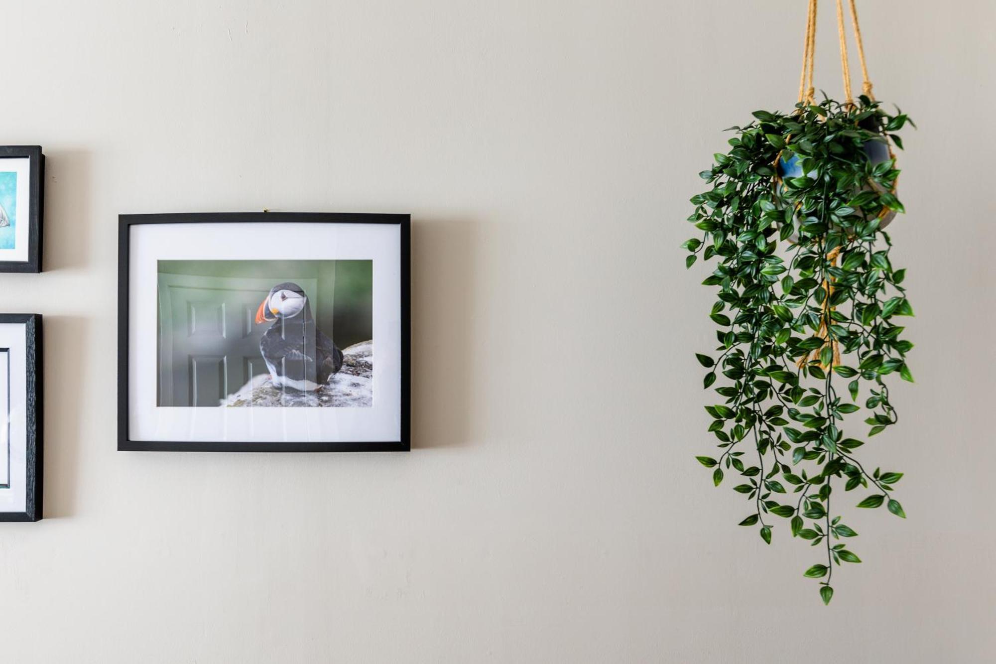 Appartamento Sea Breeze Anstruther Esterno foto